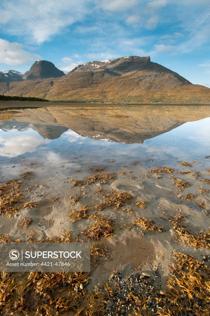 Mountains reflected in fjord during low tide at sunrise, Skibotn, Lyngen Fjord, Troms County, Lapland, North Norway, September