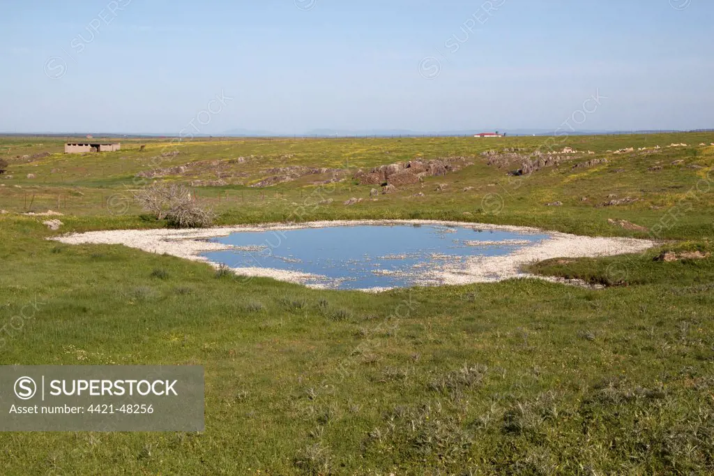 After a long spell of rain the small ponds on the high plateau of the Belen Plains are full. Extremadura, Spain.
