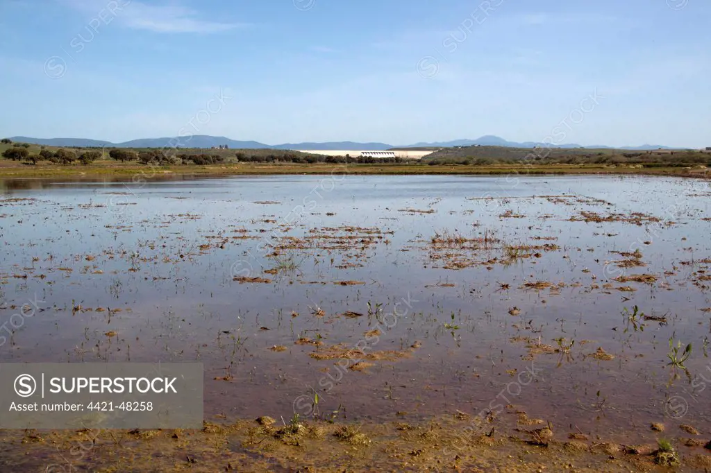 Looking over flooded rice fields towards the Presa de Sierra Brava Dam, which lies in the eastern side of Badajoz province of Extremadura in Spain.