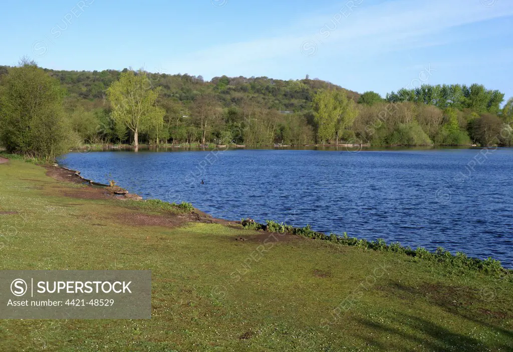 View of freshwater lake habitat, Westport Lake, Staffordshire Wildlife Trust Reserve, Longport, Stoke-on-Trent, Staffordshire, England, May