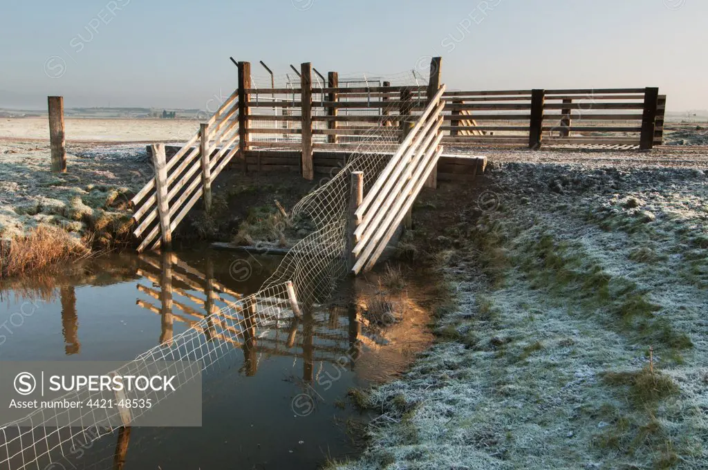 Predator control gate and fence on reserve, Elmley Marshes N.N.R., North Kent Marshes, Isle of Sheppey, Kent, England, March