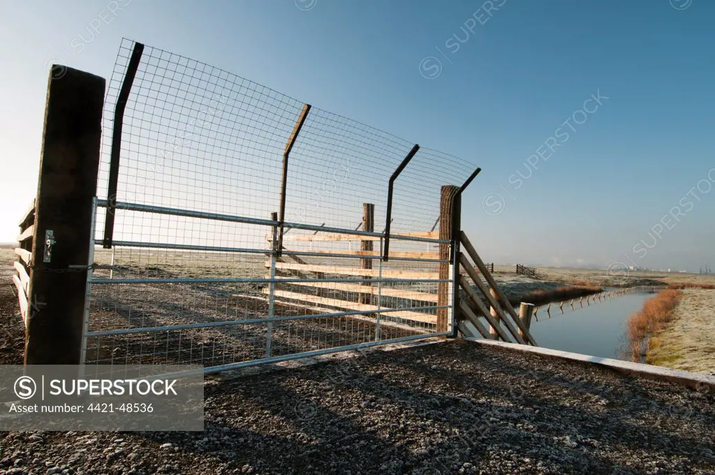 Predator control gate and fence on reserve, Elmley Marshes N.N.R., North Kent Marshes, Isle of Sheppey, Kent, England, March