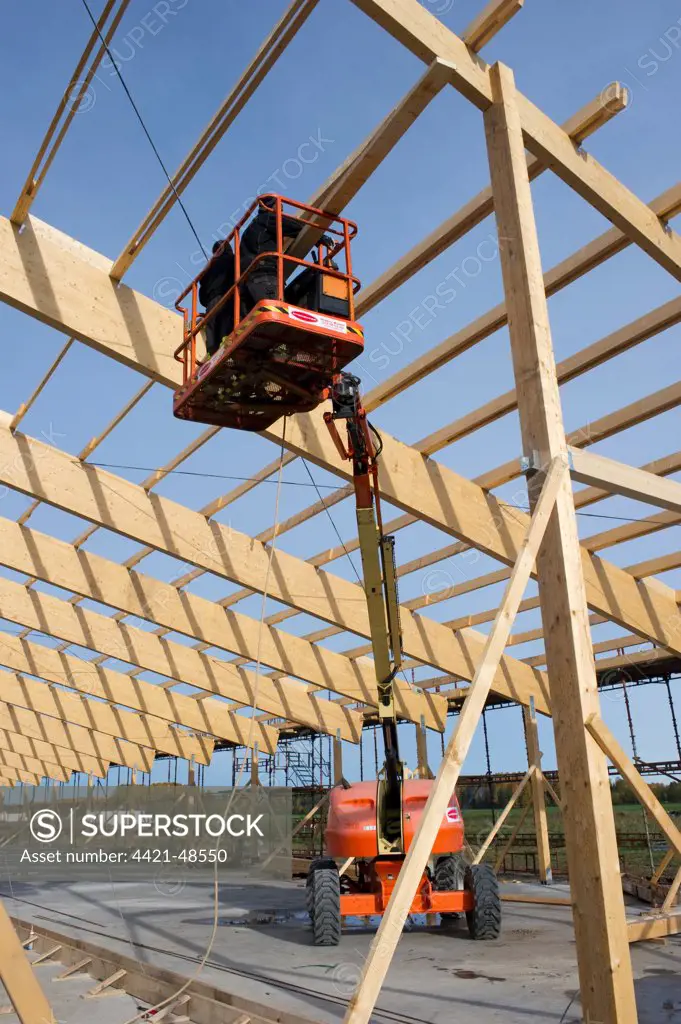 Construction work on farm building for loose housing, cherry-picker lifting workers, Sweden, october