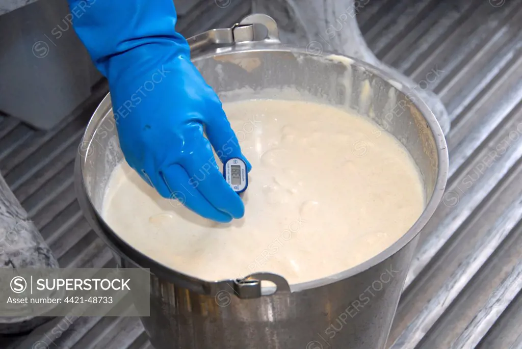 Worker taking temperature from bucket of cream, prior to making organically made butter from unpasteurized milk, on organic dairy farm, Hook and Son, Longleys Farm, near Hailsham, Pevensey Levels, East Sussex, England, April
