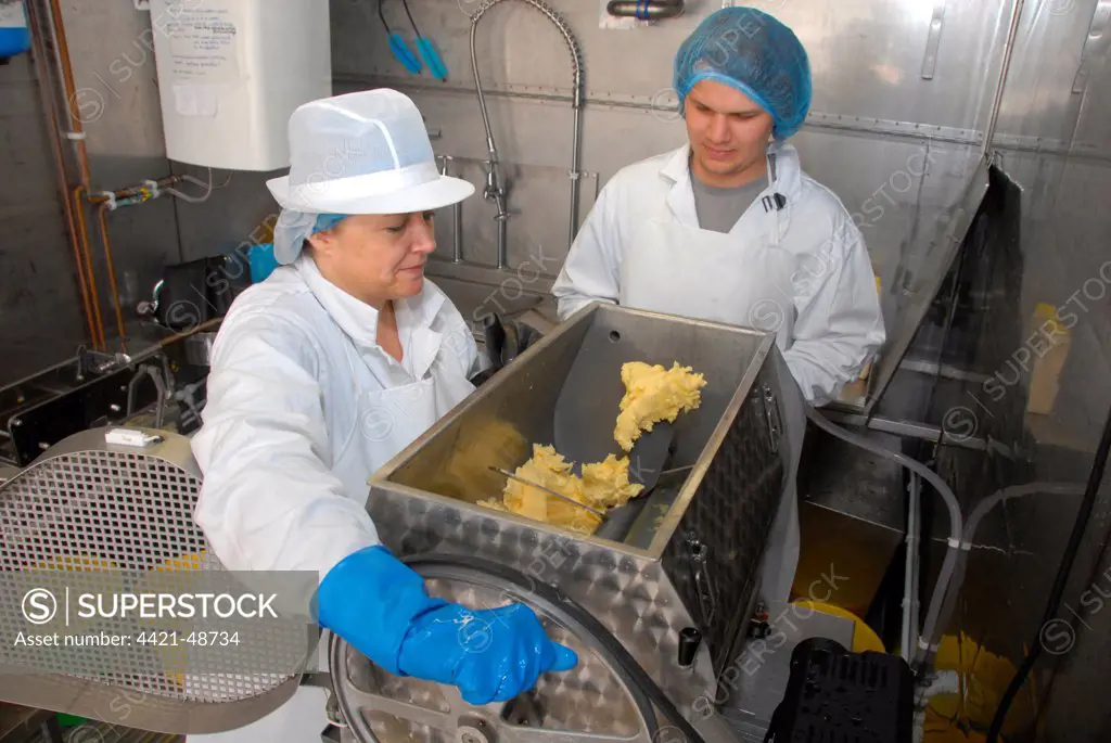 Workers using churn, making organically made butter from unpasteurized milk, on organic dairy farm, Hook and Son, Longleys Farm, near Hailsham, Pevensey Levels, East Sussex, England, April