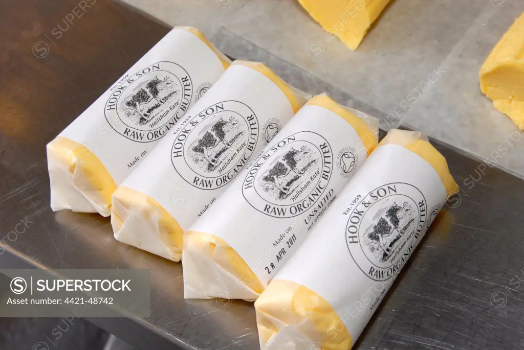 Organically made butter from unpasteurized milk, on organic dairy farm, Hook and Son, Longleys Farm, near Hailsham, Pevensey Levels, East Sussex, England, April
