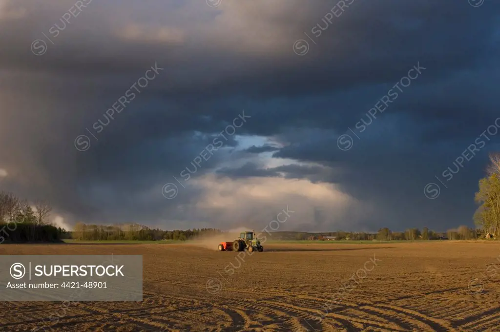 Tractor drilling arable field, with approaching storm clouds, Sweden