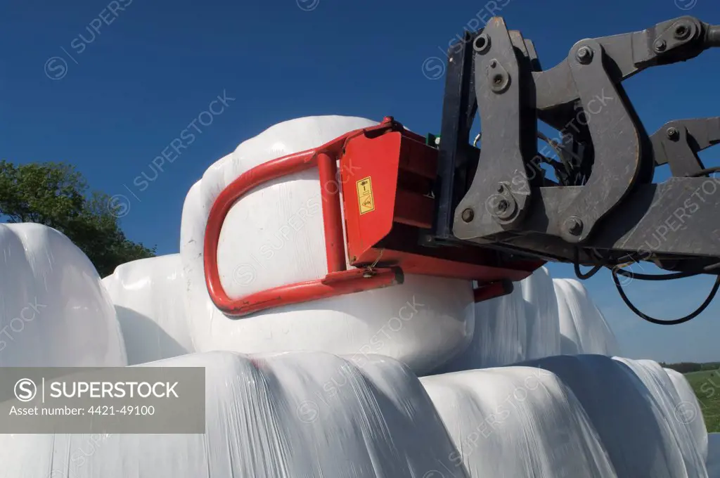 Plastic wrapped round silage bales, stacked onto pile with mechanical loader, Sweden