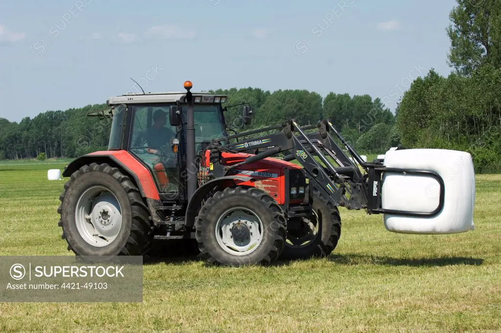 Massey Ferguson 6290 tractor with mechanical loader, carrying plastic wrapped round silage bale, Sweden