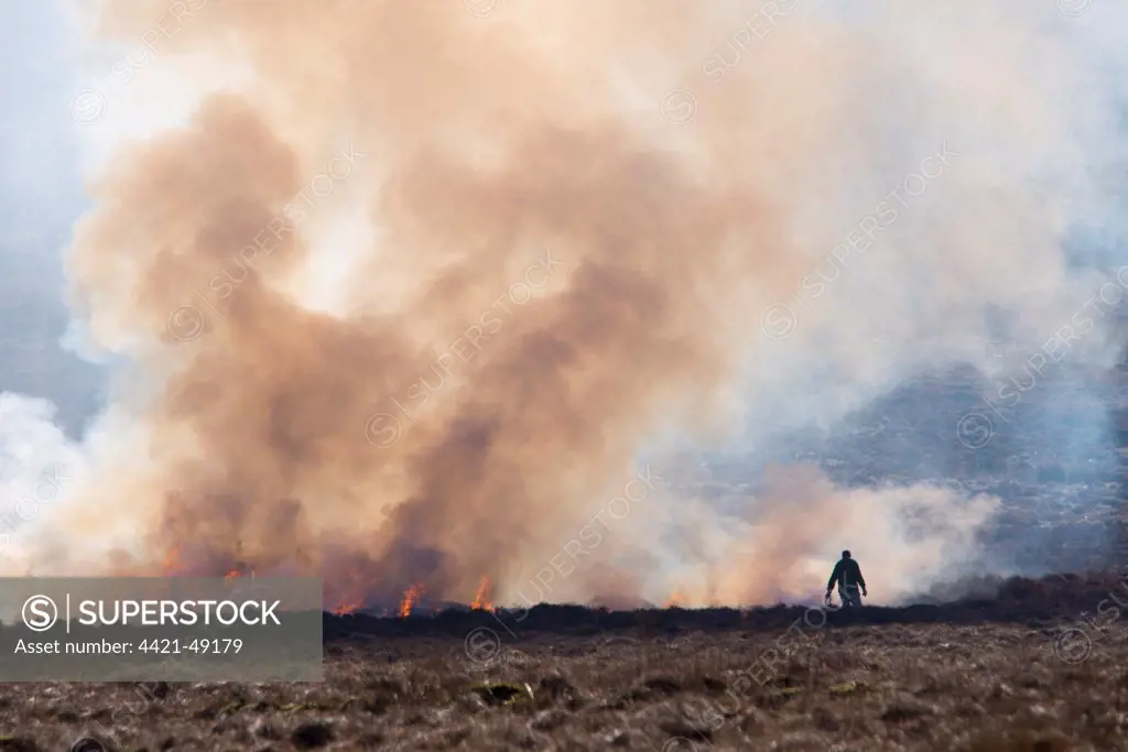 Burning heather moorland, Hawthornthwaite Fell, Abbeystead, Forest of Bowland, Lancashire, England, February