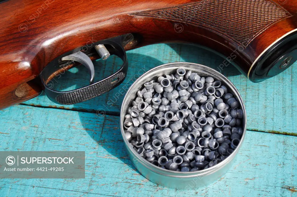 .22 air rifle pellets in tin beside air rifle, Bacton, Suffolk, England, April