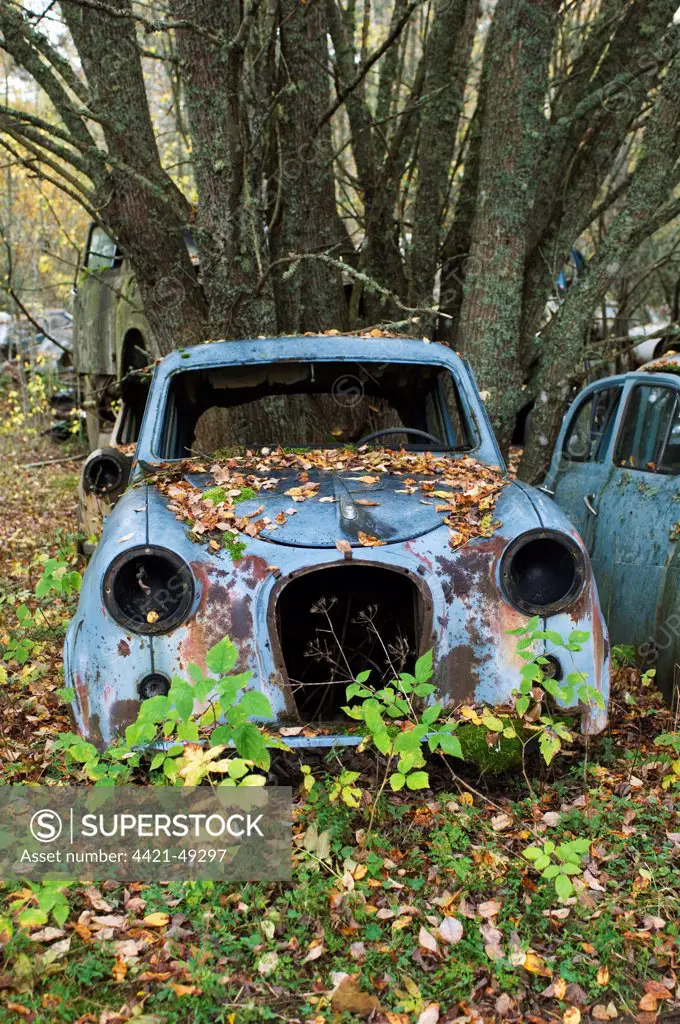 Scrap car in forest, Sweden