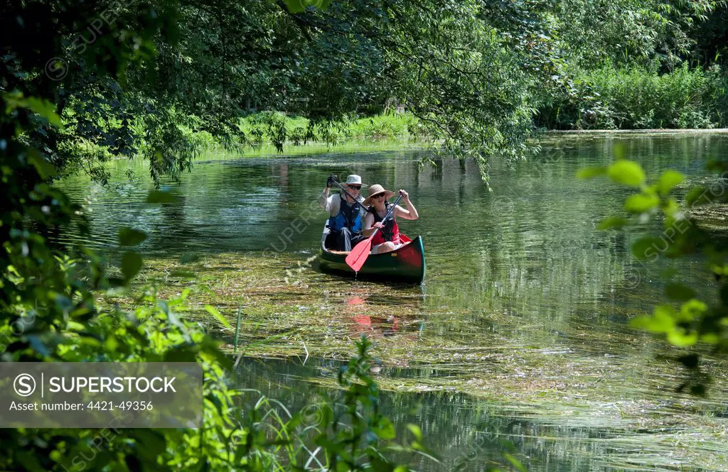Canoeists paddling on river, River Bure, Coltishall, The Broads, Norfolk, England, July