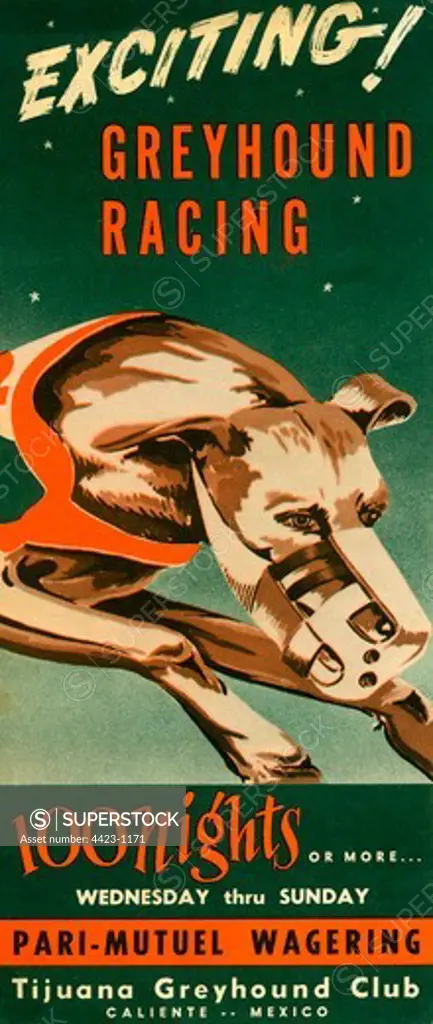 Brochure from 1956 titled 'Exciting! Greyhound Racing, Tijuana Greyhound Club'.