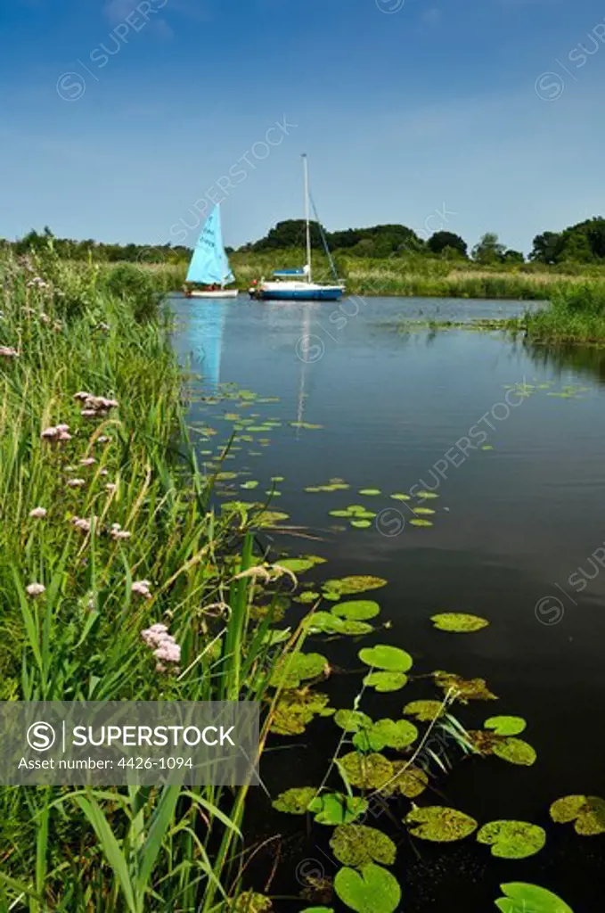 United Kingdom, England, Norfolk Broads, Sutton, Two sailboats and reed
