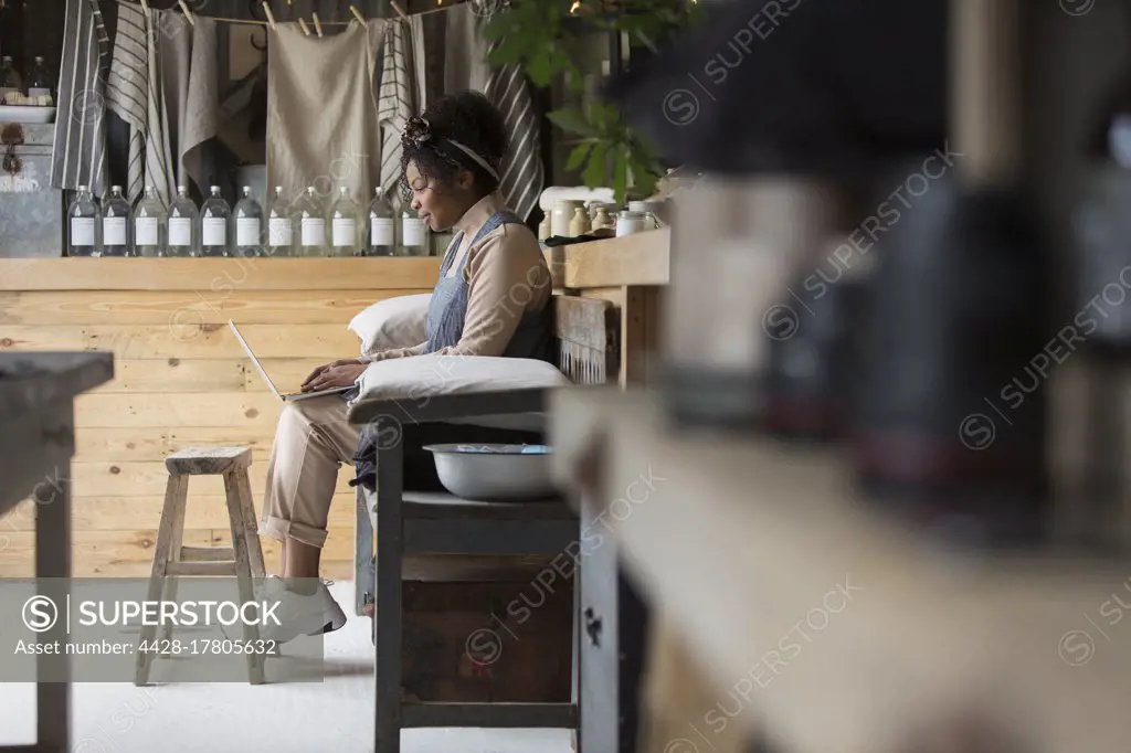 Female shop owner using laptop on bench