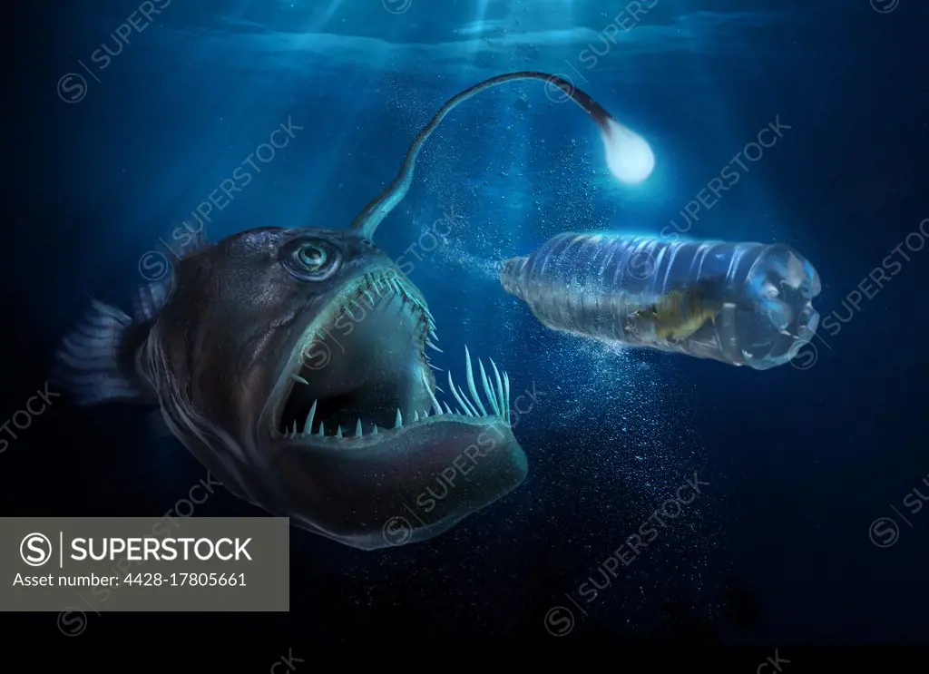 Scary deep sea fish with light examining fish in plastic water bottle