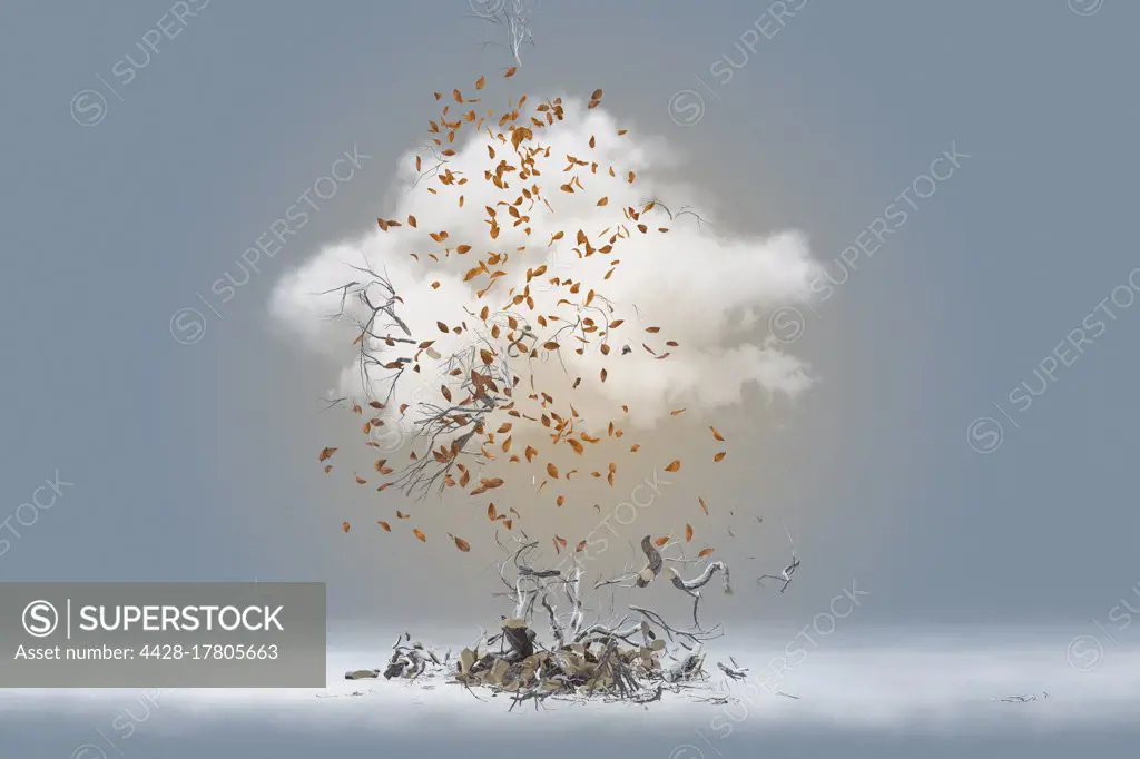 Autumn tree and leaves exploding into cloud