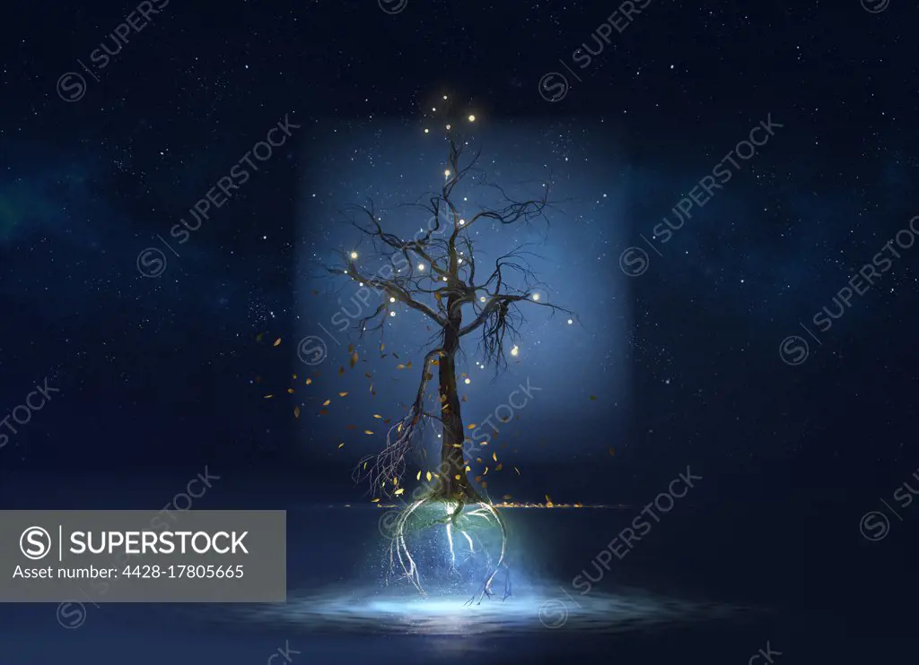 Mysterious illuminated floating tree above water
