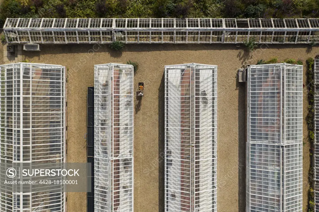 Aerial view worker with wheelbarrow among sunny greenhouses