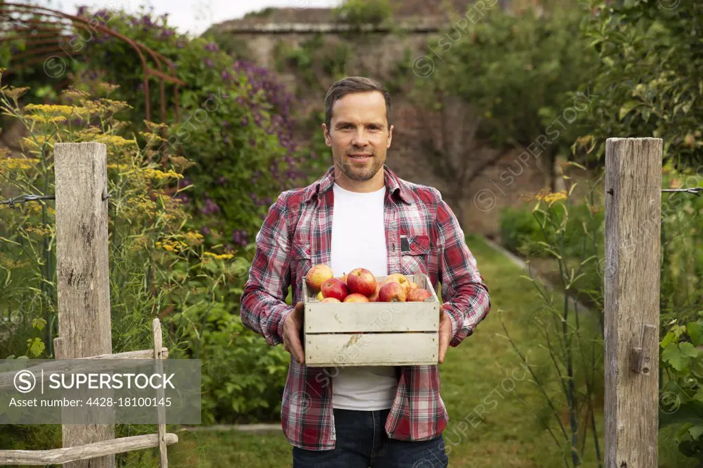 Portrait proud man with crate of harvested apples in garden