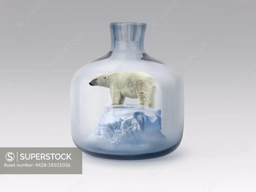 Polar bear in jar with melting ice