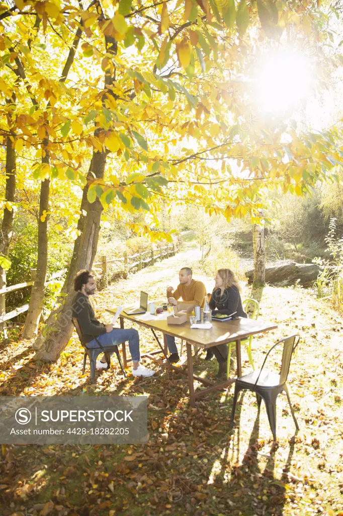 Business people having lunch meeting in sunny idyllic autumn park