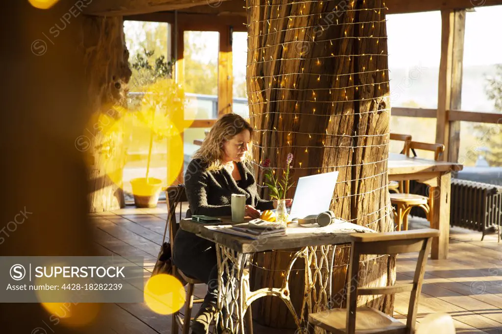 Businesswoman working at laptop in sunny cafe