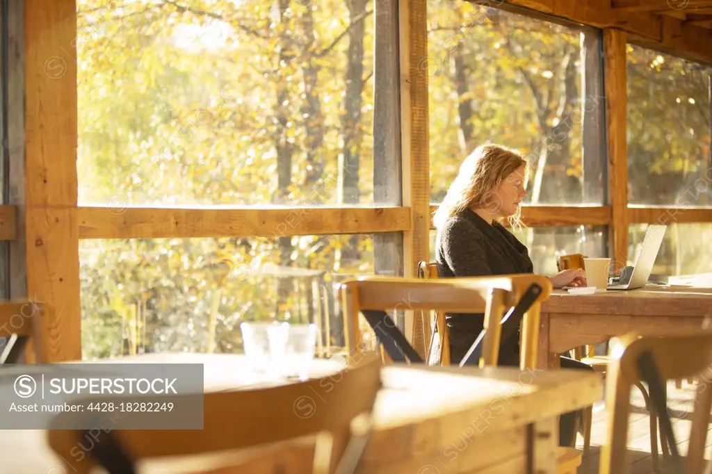 Female business owner working at laptop in sunny autumn cafe