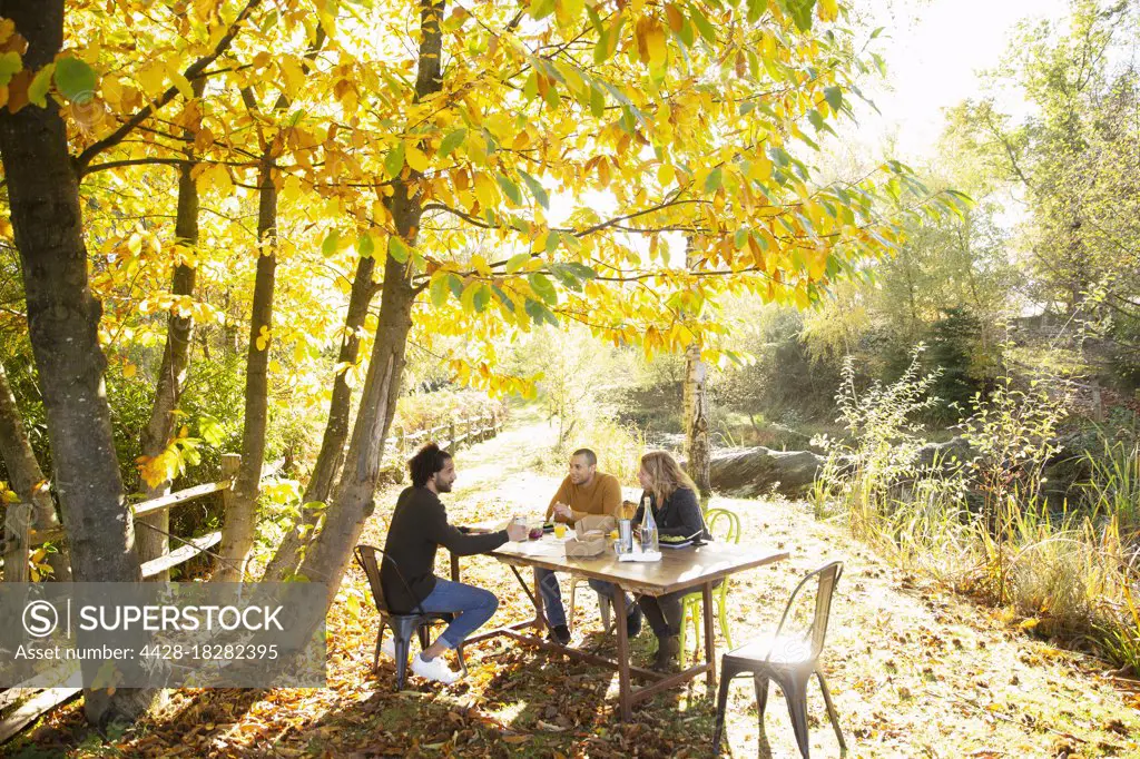 Business people meeting at table in sunny idyllic autumn park