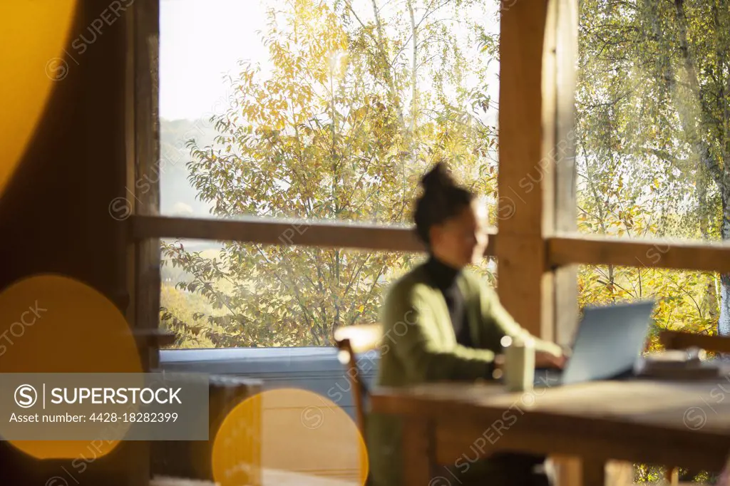 Businesswoman working at laptop in sunny autumn cafe