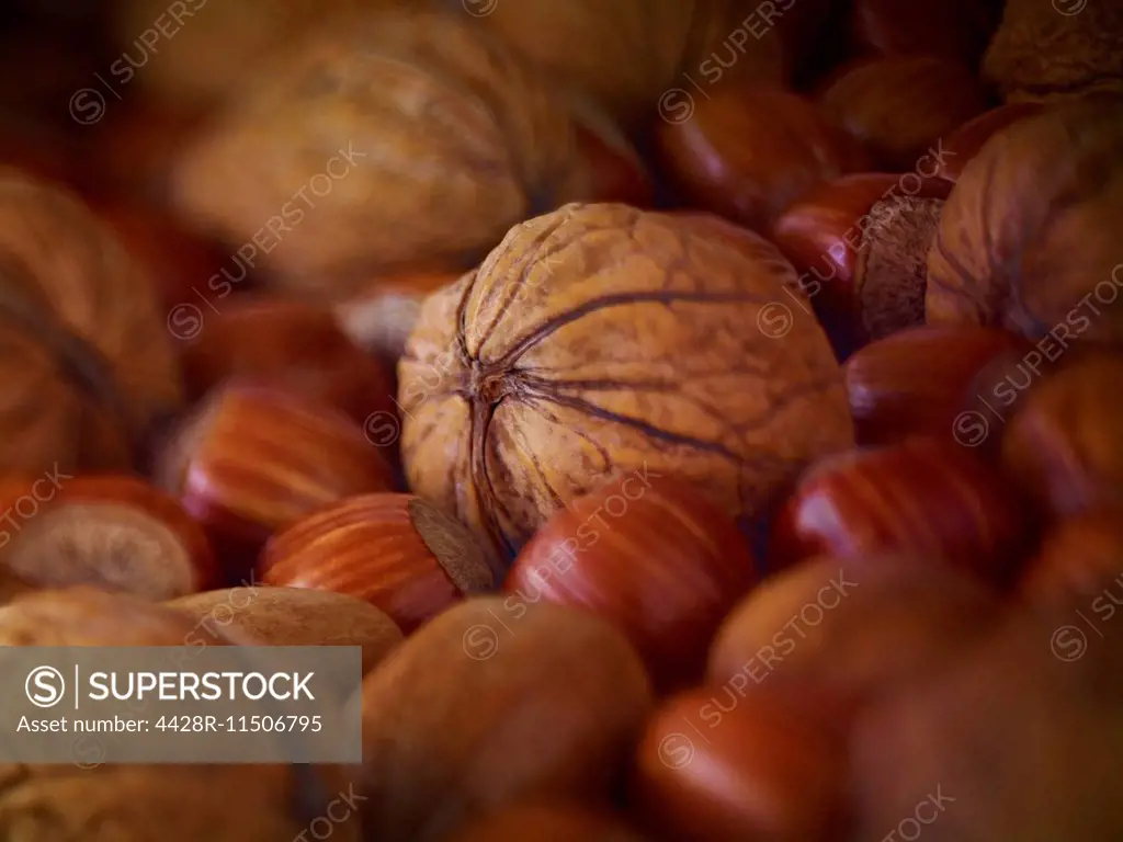 Extreme close up of walnuts, hazelnuts and pecans in shells