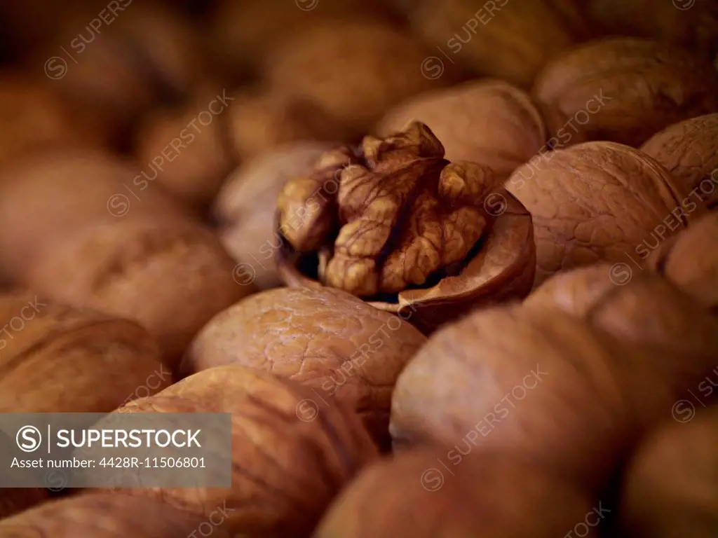 Extreme close up of walnuts shelled and in shell