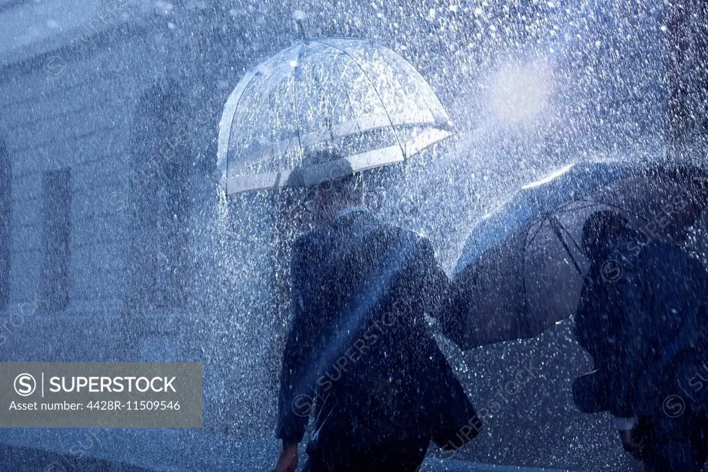 Businessmen with umbrellas in rain