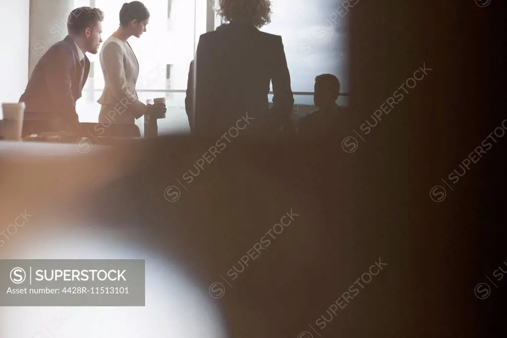 Silhouette of business people talking in meeting