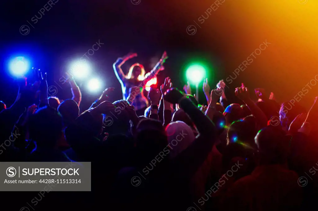 Audience enjoying music concert