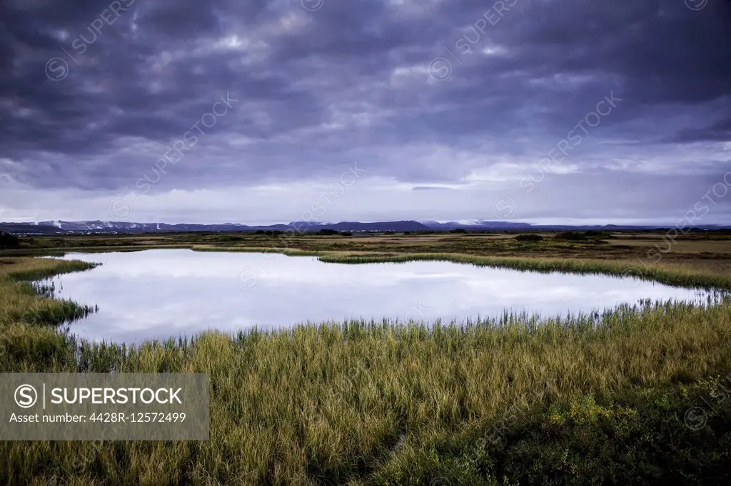 Calm pool among landscape, Myvatn, Iceland