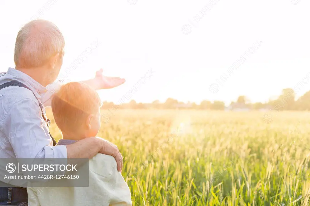 Grandfather farmer explaining rural wheat crop to grandson