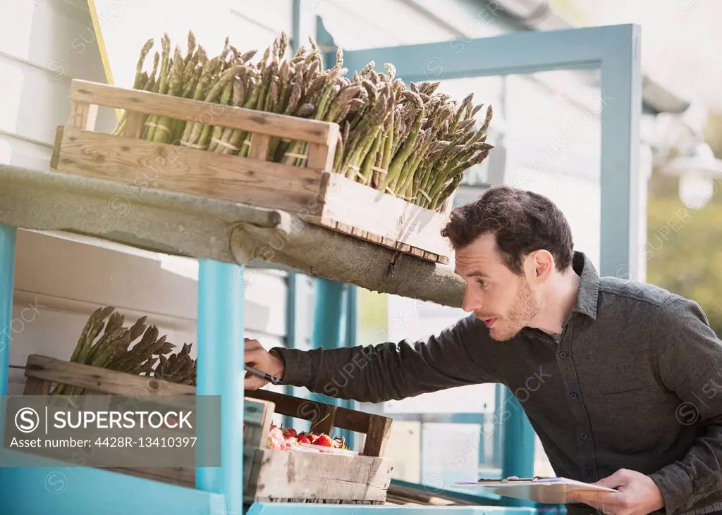 Farmerís market worker checking asparagus inventory