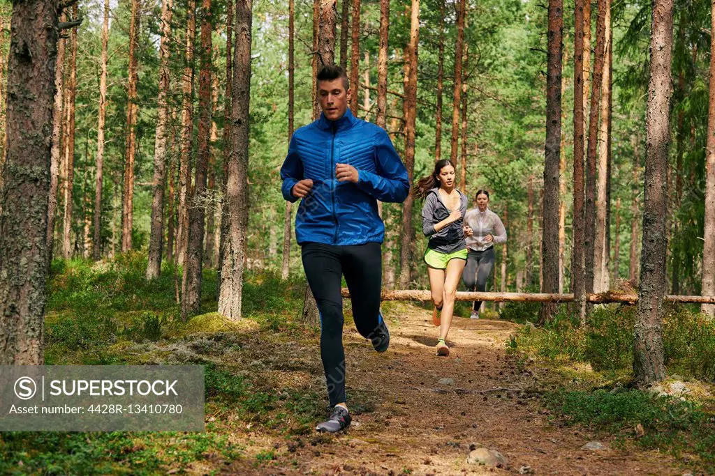 Runners running on trail in woods