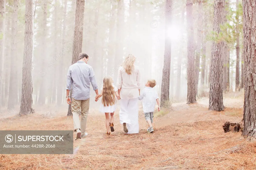 Cape Town, South Africa, Family holding hands and walking in sunny woods