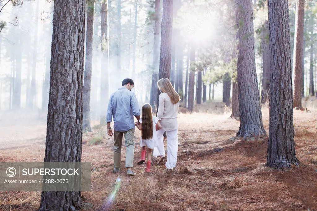 Cape Town, South Africa, Family holding hands and walking in sunny woods