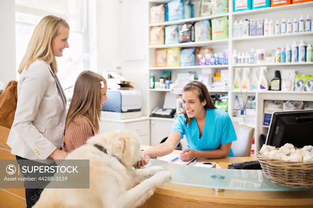 Receptionist greeting dog in vet's surgery,London, UK