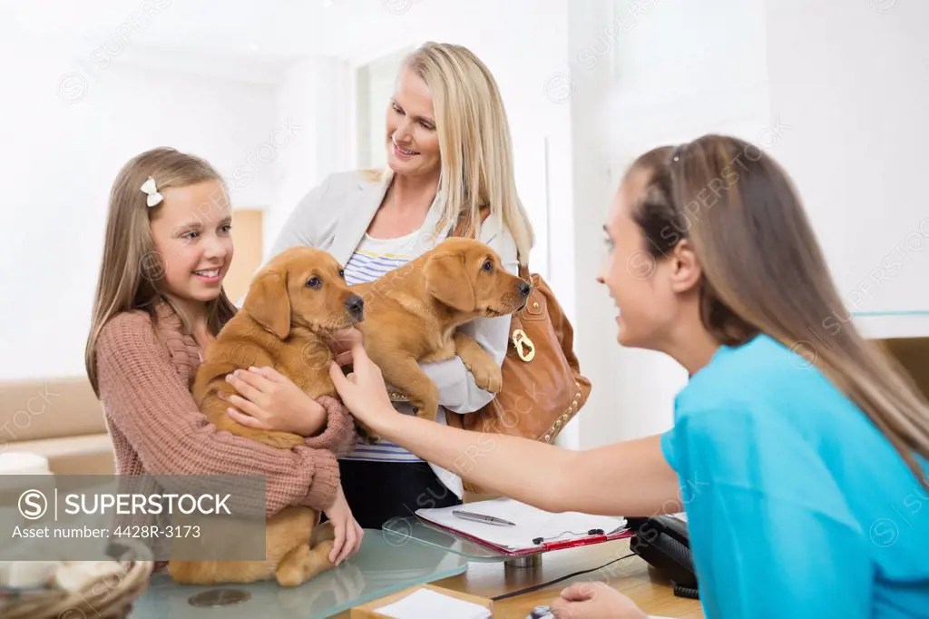 Owners bringing dogs to vet's surgery,London, UK