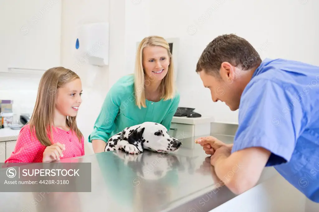 Veterinarian and owners examining dog in vet's surgery,London, UK