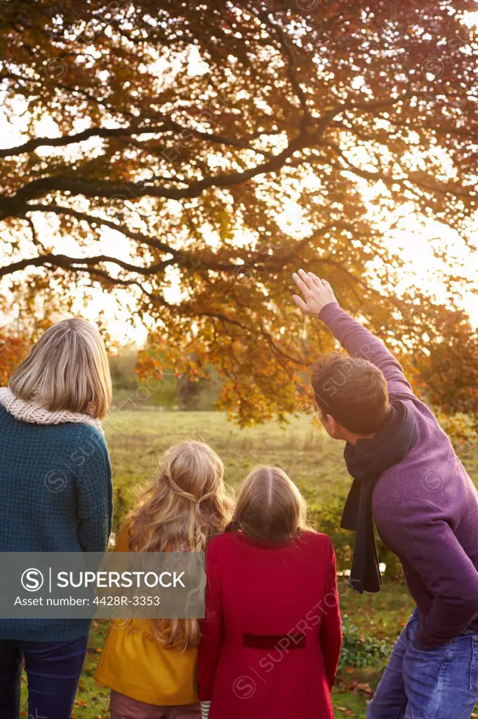 Family admiring autumn leaves in tree,belmonthouse, UK