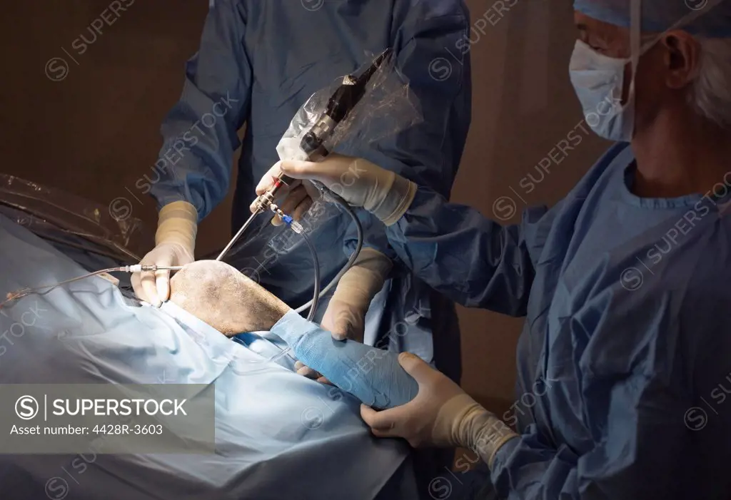 Surgeons at work in veterinary operating theater,London, UK