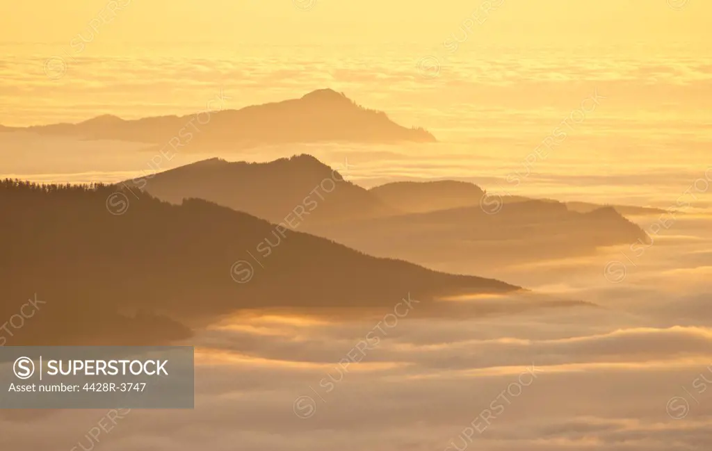 Aerial view of mountaintops over clouds at sunset,Mount Rainier National Park, WA, USA