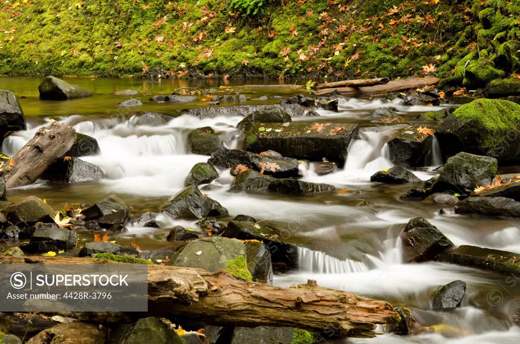 Rocky river in rural landscape,Columbia River Gorge, OR, USA