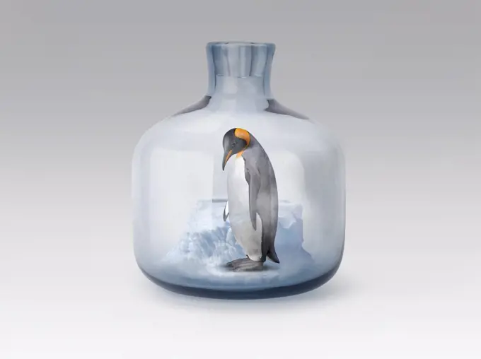 Penguin in jar with melting ice